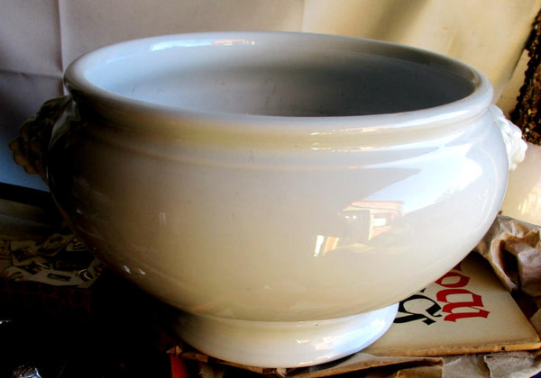 mit HK Löwenkopf Schüssel, Haviland, Fl.U.V., 1941 Wehrmacht