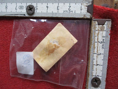 SS RZM Etikett Reichszeugmeisterei mit Nummer