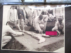 Reichsparteitag 1939 Foto-Album von Leni Riefenstahl Preis pro Photo 25 €