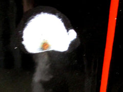 "Volksgenossen braucht Ihr Rat und Hilfe so wendet Euch an die NXDAP" weitere Felder zum Eintragen von Öffnungszeiten ORIGINAL !!!