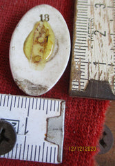 HJ BDM Porzellan Abzeichen mit HK leider fehlt die Nadel aus einem alten Händlerbestand