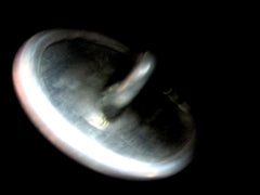 Pimpfe DJ HJ Marine Jacke mit Arm-Wimpel aus Stoff Anzeichen Größe ca 164