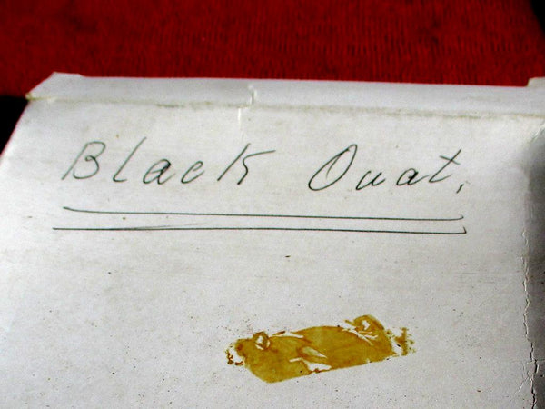 Vintage Porno Super 8 Sex Film Black Ouat ? Meter